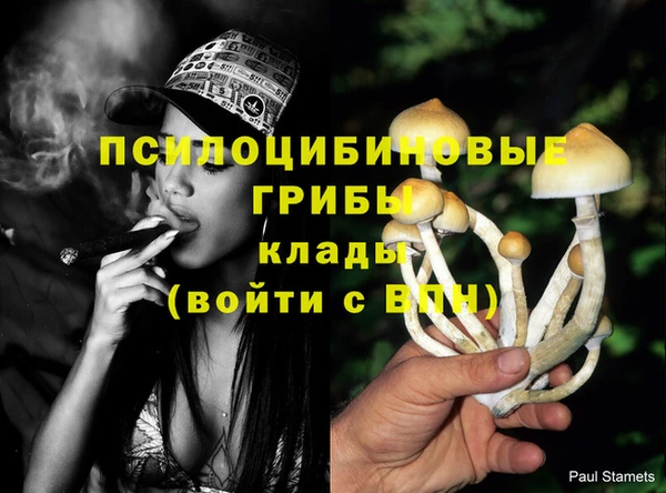COCAINE Покров